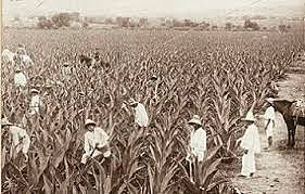 Inversión extranjera y desequilibrios regionales