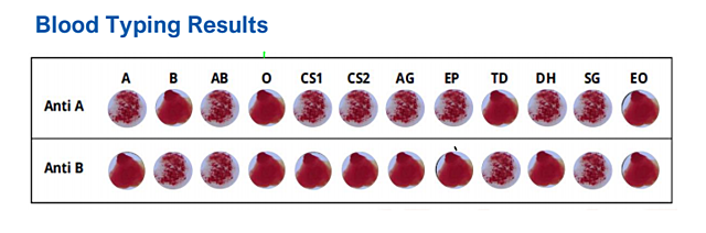 The traces we leave behind