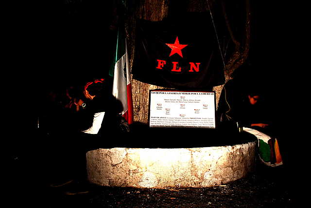 Creación de las Fuerzas de Liberación Nacional