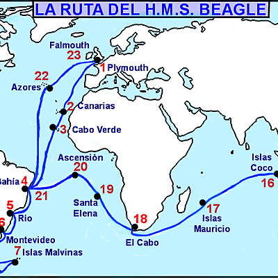 Timeline: viajes de darwin: beagle