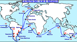 Timeline: viajes de darwin: beagle