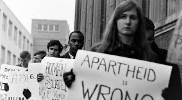 How did the Anti-Apartheid Movement start?