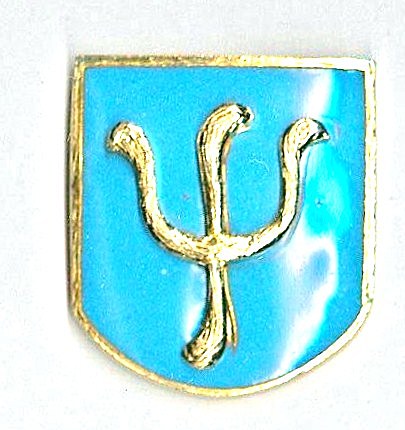 TOMA RELEVANCIA LA SELECCION POR SPICOLOGOS  DE TRIPULACION CON PERFILES PSICOLOGIOS AFINES.