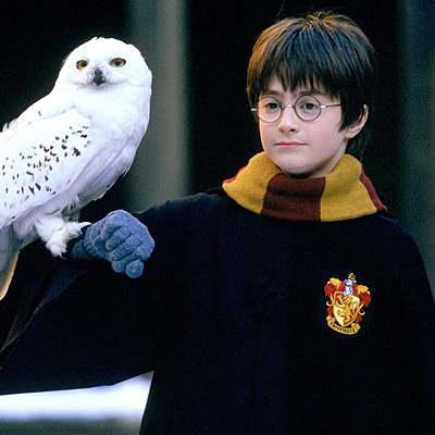 Timeline: История серии книг о "Мальчике, который выжил"