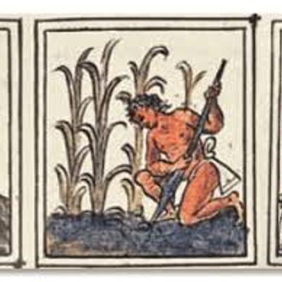 Timeline: Timeline prehispanic cultures