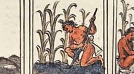 Timeline: Timeline prehispanic cultures