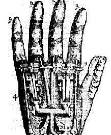 Primer brazo artificial móvil al nivel del codo.