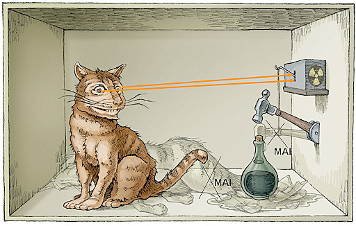 Paradosso di Schrodinger