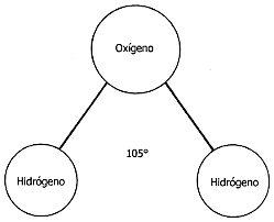 Composición del agua
