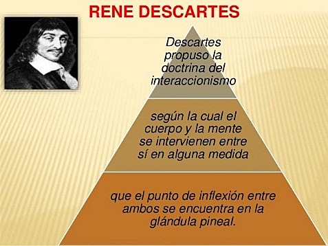 Siglo XVII  Doctrina del interaccionismo