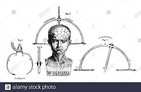 Siglo XIX,  La frenología
