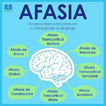 Siglo XIX La afasia, Paul Pierre Broca