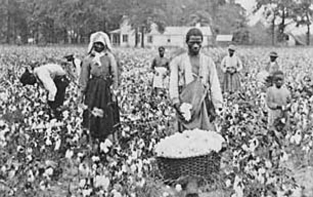 Slavery is Introduced in Virginia