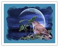 Se va con algo mío la tarde que se aleja