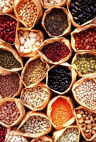 "Semillas para un himno"