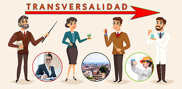 Concepto enfoque transversalidad