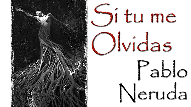 Si tu me olvidas