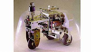 Tortue cibernétique