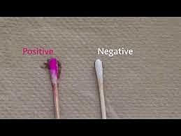 Kastle- Meyer blood test