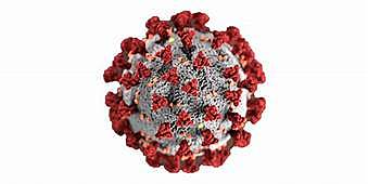 My birthday During Covid