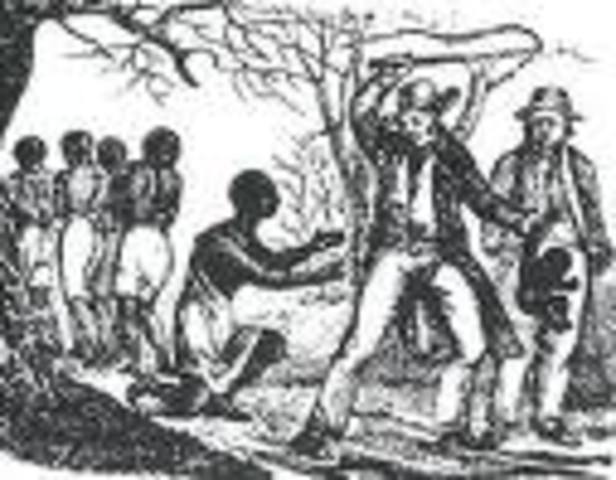 First Slaves brought to America