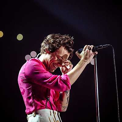 Timeline: HARRY STYLES CARRERA