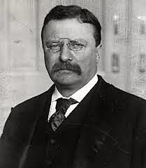 Theodore Roosevelt becomes President