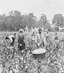 Sharecropping Begins in the South