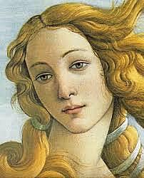 Soneto XXIII (En Tanto Rosa y Azucena)