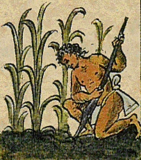 CULTURA OLMECA 1200 a.C a 400 a.C