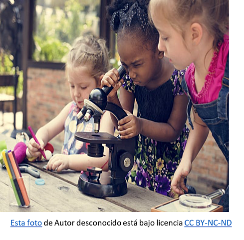 Singlesex versus coeducational schooling