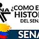 Historia del sena