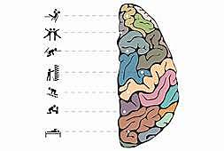 Reformación  del artículo tercero