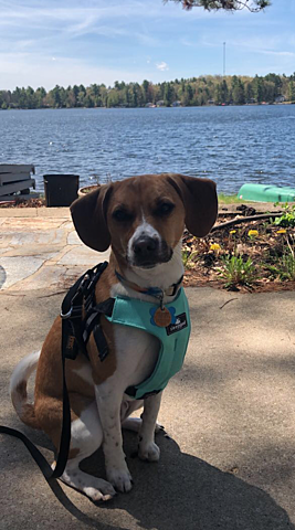 Microburst Hits Crooked Lake