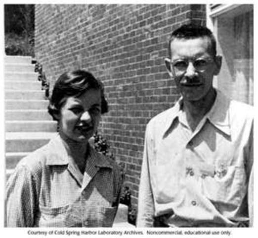 Hershey-Chase experiment