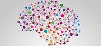 Siglo XX 1991 Baterías de valoración neuropsicológica