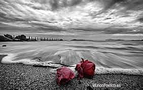 Semántica Práctica