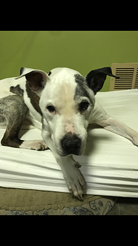 I can be thoughtless