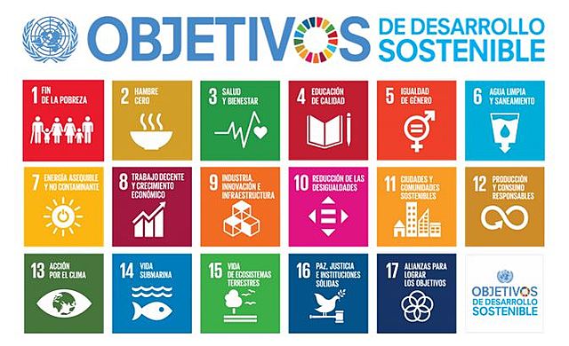 Cumbre de las Naciones Unidas sobre los Objetivos de Desarrollo del Milenio