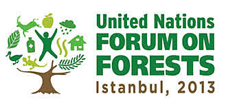 Foro de Bosques de Naciones Unidas 10.
