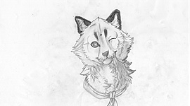 Timeline: Hello  there