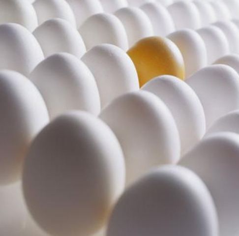 Fundción de la tienda