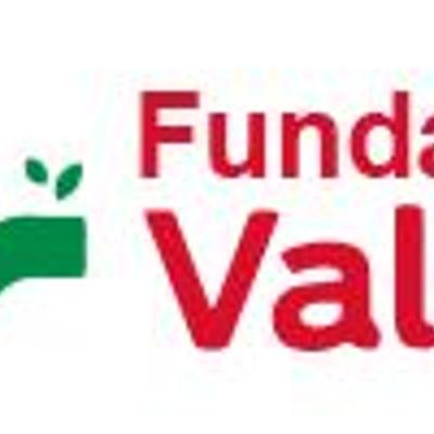 Timeline: Gestión de resultados 2019 2020