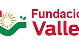 Timeline: Gestión de resultados 2019 2020