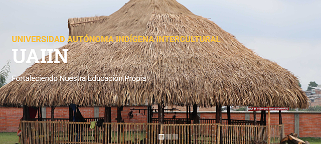 Universidad Autónoma Indígena Intercultural (UAIIN)