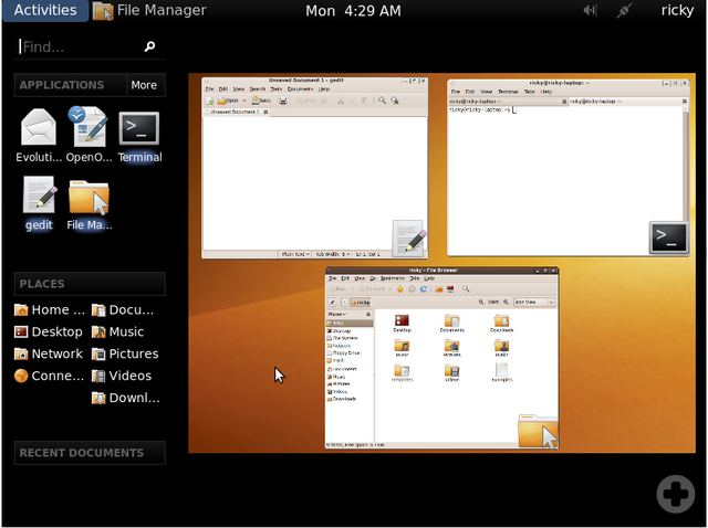 Gnome 3.0 (Version Actual)