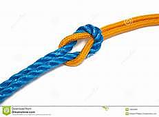 I meet my best friend tara