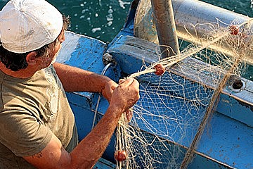 Code of Conduct for Responsible Fisheries