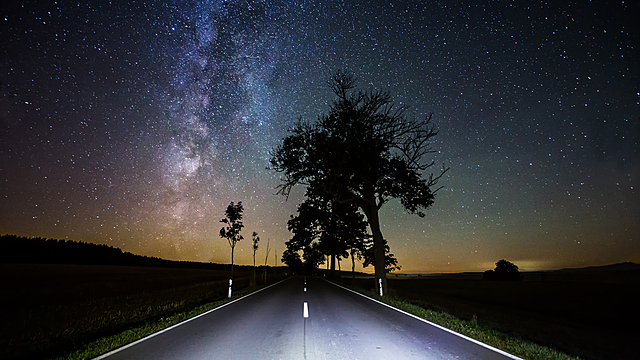 Polly and jack go on a surprise business trip