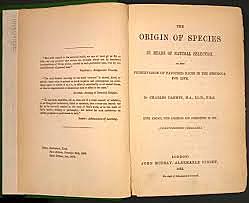 Primer borrador de la teoría de la evolución.
